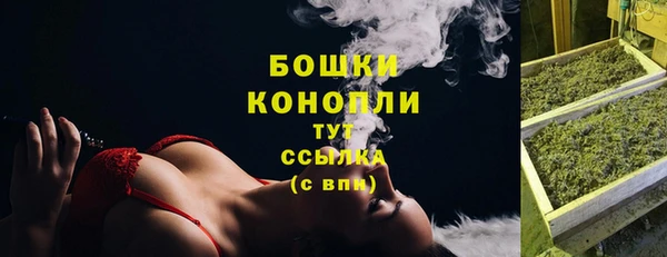 ешки Ладушкин