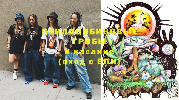 МДМА Лагань