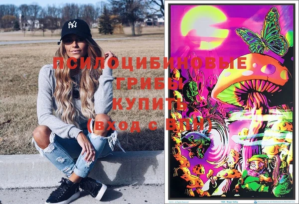 ешки Ладушкин