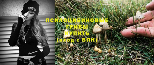 ешки Ладушкин