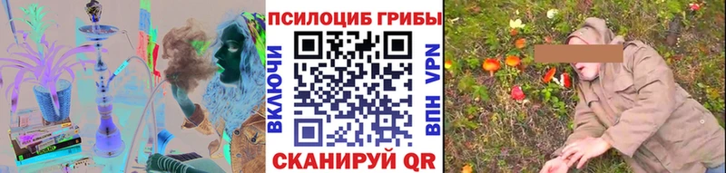 Галлюциногенные грибы мицелий ссылка на мегу ссылки Кисловодск